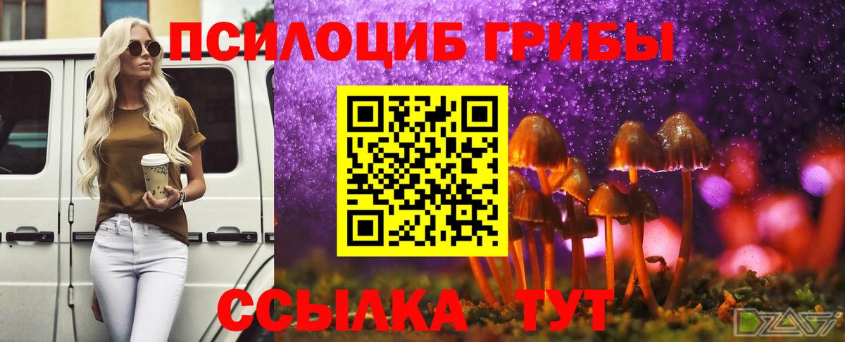 Ялуторовск  наркотики  Вход с VPN  Псилоцибиновые грибы Psilocybe 